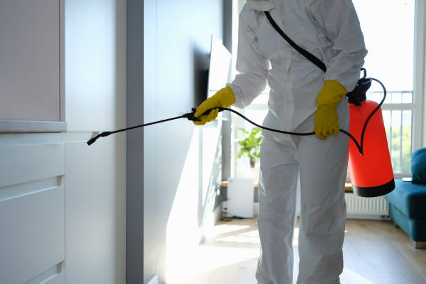 Mold Testing and Removal in Durango, CO